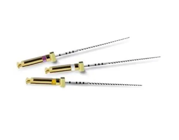 PATHFILE LIMES CATHETERISME 25MM ASST (6)- 892-5029 -MAILLEFER